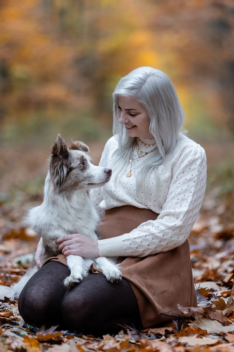 Blue Merle Australian Shepherd liegt auf den Beinen der Besitzerin und schaut sie an