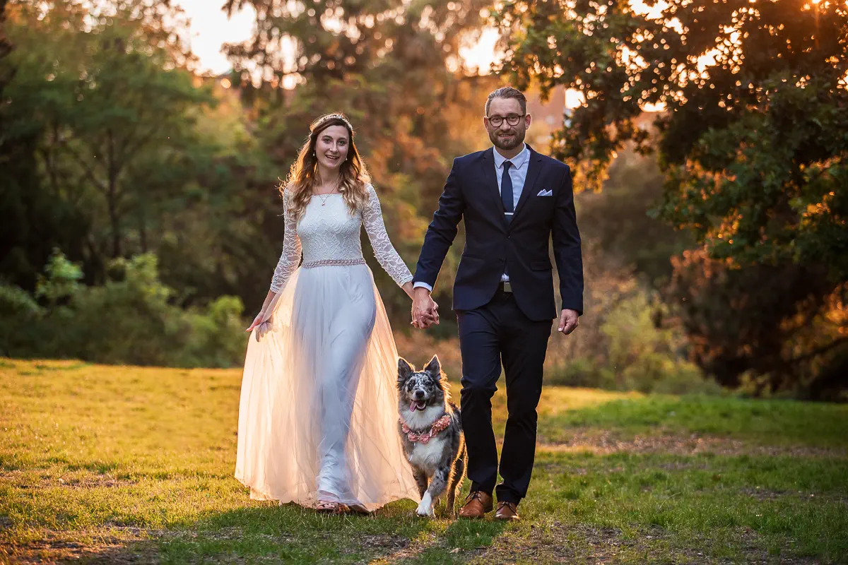 Hochzeitspaar läuft mit ihrem Hund auf einer Wiese im Sonnenuntergang